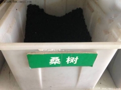 桑樹種子